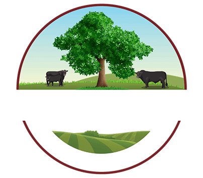 Oak Hollow color logo